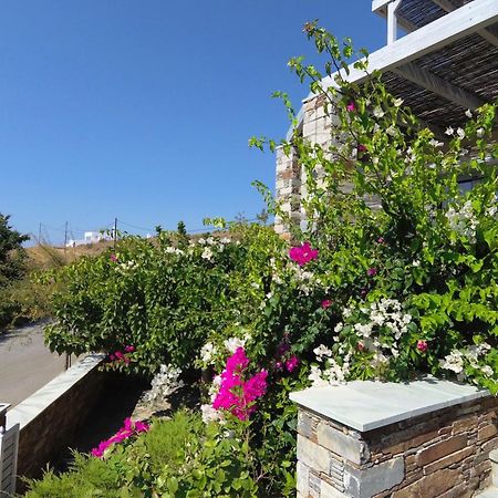 Aeolia Villas Karystos  Bagian luar foto