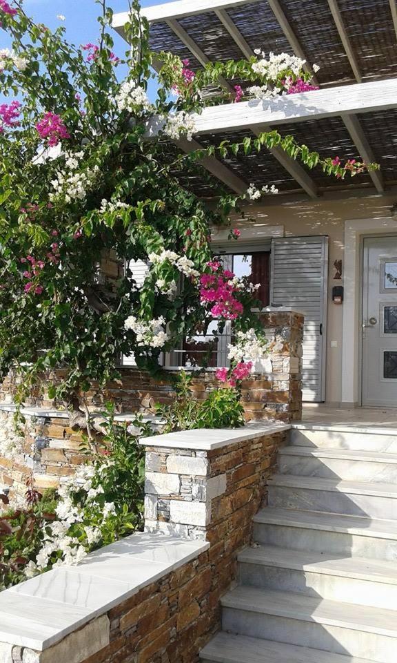 Aeolia Villas Karystos  Bagian luar foto