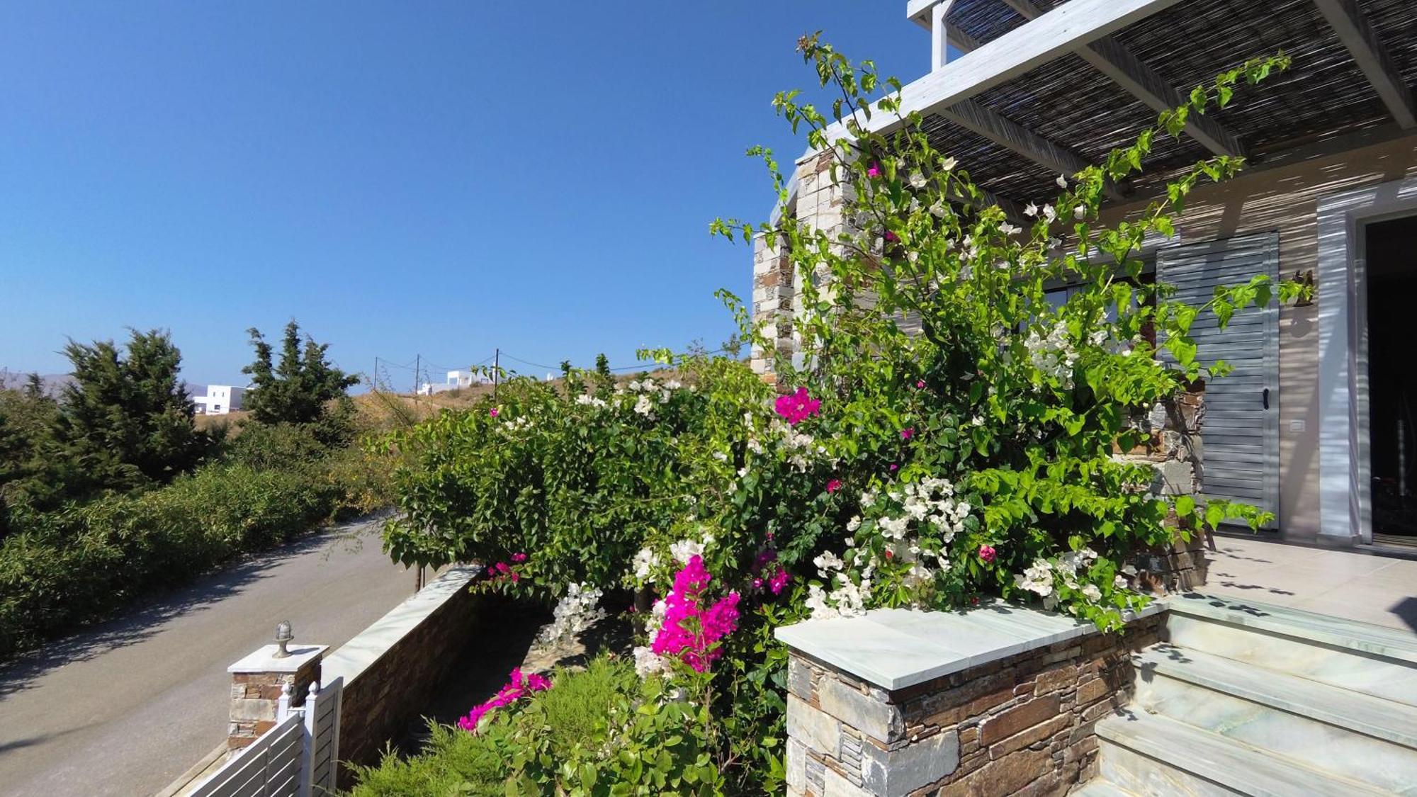 Aeolia Villas Karystos  Bagian luar foto